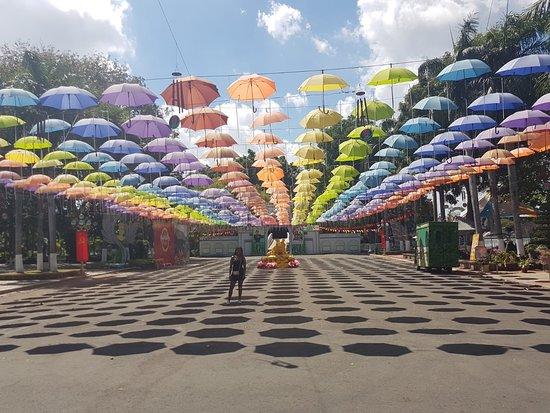 ダムセンパーク